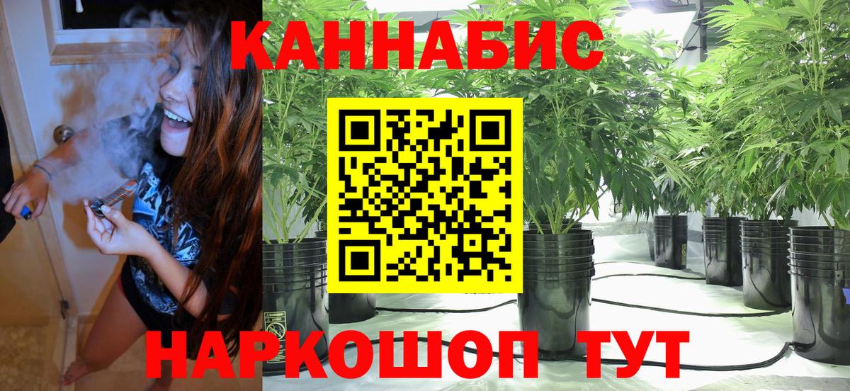 Бошки марихуана индика Новошахтинск